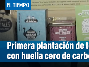 Primera plantación de té del mundo con huella cero de carbono