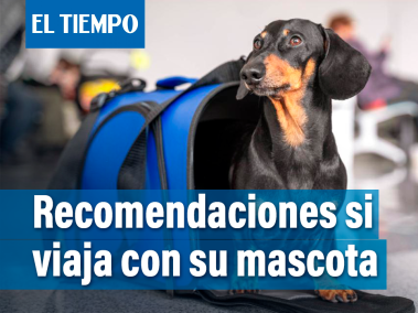 Recomendaciones si viaja con su mascota