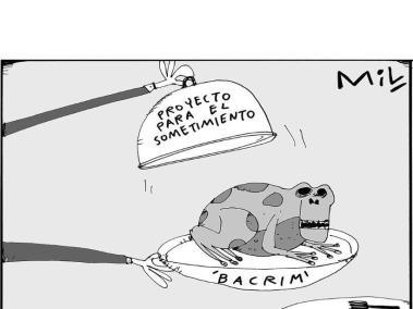 Nuevo sapo - Caricatura de Mil