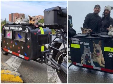 Los canes hacen parte de una ‘tribu’ de perritos moteros, quienes ‘ruedan’ por Colombia con sus dueños.