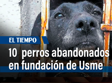 Fundación de Usme tenían 10 caninos abandonados, según vecinos la propietaria no aparece hace más de una semana y los perros se encuentra en un mal estado