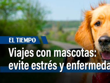 ¿Viaja con su mascota? Pues les tenemos las recomendaciones para evitar el estrés, enfermedades y otros contratiempos que le dañen su paseo... Además, recuerde llevar el carné de vacunación y adecuarle un lugar cómodo y ventilado a su acompañante peludo.