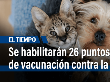 80.000 dosis de vacuna contra la rabia para perros y gatos