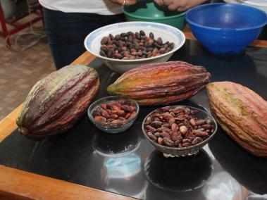 Cacao.