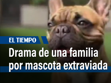 Los dueños del perro ahora son extorsionados y les exigen dinero para devolverles el animal.