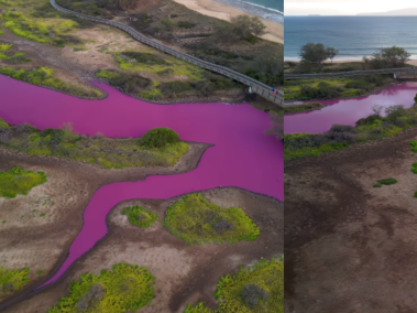 Un fotógrafo grabó cómo se ve el lugar con el estanque rosado.