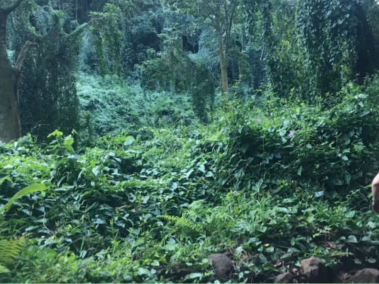 Kay Borleis mientras corría en la selva.