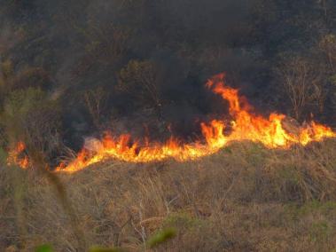 Incendio en Cesar.