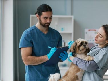 En caso de emergencia diríjase a su veterinaria más cercana.