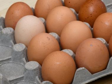 Los huevos tienen barreras físicas y químicas que los protegen de las bacterias.