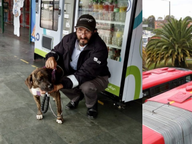 El caso  de una perrita que fue abandonada en un bus de TransMilenio el pasado 10 de junio tuvo un final feliz.