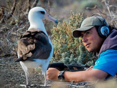 Julio Hernández Montoya trabaja con el Grupo de Ecología y Conservación de Islas, GECI, en la Isla Guadalupe.