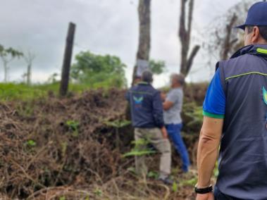 Técnicos de la CAR encontraron que entre los árboles talados figuran especies nativas como nacederos y siete cueros, vitales para el soporte y estabilidad de los suelos en este sector del Departamento.