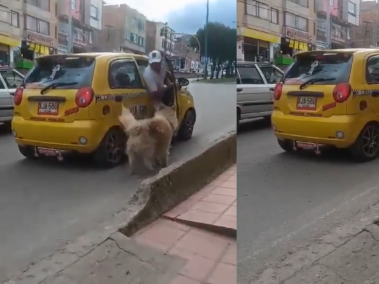 El perrito quería subir con su dueño.