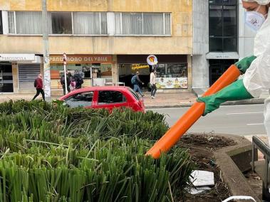 Operativos de control de ratas en Bogotá.