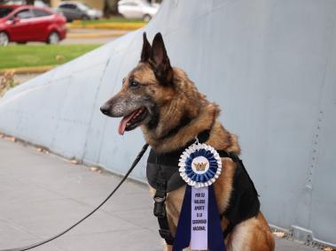 Lara pasa al retiro tras 10 años de servicio.