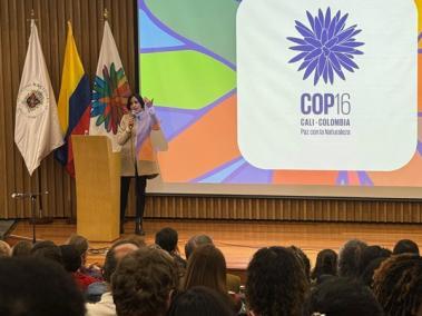 COP 16, sede Colombia.