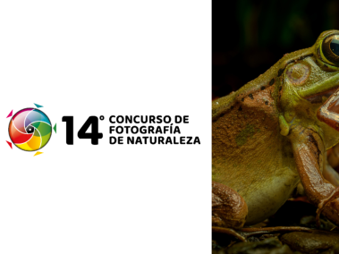 Concurso de fotografía sobre naturaleza