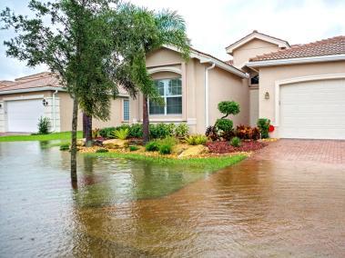 Florida ha enfrentado fuertes lluvias que han afectado a diversas zonas.