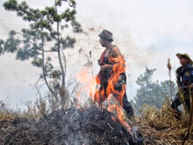 Grave emergencias en Cali por incendios forestales provocados<