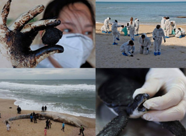 Según informó ‘CNN’, las autoridades de Israel están tratando de localizar la fuente de lo que se presume como un derrame de petróleo. “De los 190 kilómetros de playa en Israel, 170 kilómetros fueron afectados por el desastre ecológico”, aseguró la Autoridad de Parques y Naturaleza.