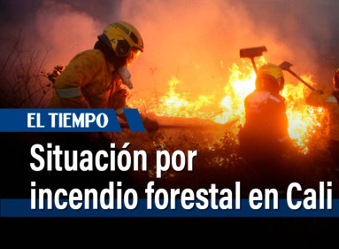 Así es la situación en Cali por incendio forestal