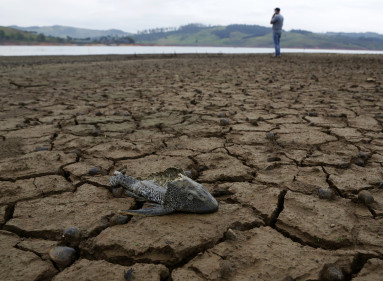 Las temperaturas han alcanzo los 35 grados centígrados en el Valle del Cauca.