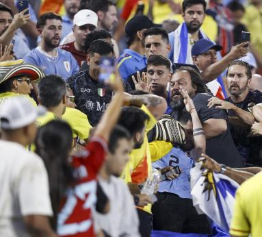 Charlotte (United States), 10/07/2024.- Fans scuffle after the CONMEBOL Copa America 2024 semi-finals match between Uruguay and Colombia in Charlotte, North Carolina, USA, 10 July 2024. EFE/EPA/BRIAN WESTERHOLT