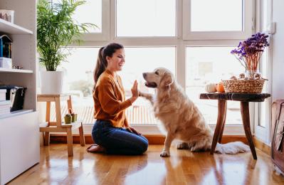 Una sesión casera de fotos puede formar parte de una linda y divertida celebración con las mascotas.