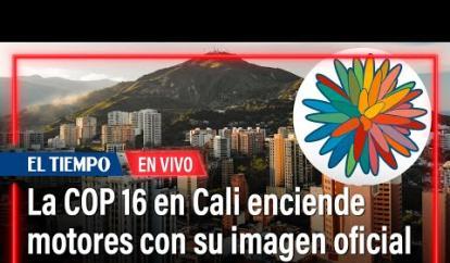 Las marimbas y tambores del Pacífico se tomaron la plazoleta del CAM en Cali, en el acto de presentación de la imagen de este evento internacional que reunirá a cerca de 12.000 visitantes y más de 190 países. #ElTiempo

SUSCRÍBETE: https://bit.ly/eltiempoYT 

Síguenos en nuestras redes sociales:
Twitter: https://twitter.com/eltiempo 
Facebook: https://www.facebook.com/eltiempo 
Instagram: https://www.instagram.com/eltiempo 

El Tiempo
El Tiempo es el medio líder de noticias en Colombia, caracterizado por sus investigaciones y reportajes exclusivos, sobre:  justicia, deportes, economía, política, cultura, tecnología, innovación, cambio climático, entre otros eventos noticiosos en Colombia y el mundo.

Para mayor información ingresa a: https://www.eltiempo.com 

Otros Canales de El Tiempo
Citytv: https://www.youtube.com/c/citytvbogota  
Bravissimo Citytv: https://www.youtube.com/c/BRAVISSIMOCITYTV  
Portafolio: https://www.youtube.com/user/PortafolioCO  
Futbolred: https://www.youtube.com/c/FutbolRedCO


https://www.youtube.com/c/ElTiempo