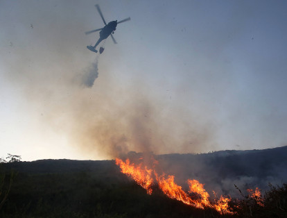 Como verdaderos héroes fueron llamados los Bomberos de Cali y Jamundí tras controlar las conflagraciones en el cerro de Cristo Rey y Terranova, respectivamente, donde murieron y quedaron heridos varios animales y se quemaron decenas de hectáreas. Piden a la comunidad no quemar basuras, tirar cigarillos, ni dejar vidrios en las montañas o pastizales.