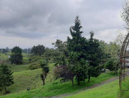 Según el gobernador del Quindío, Roberto Jairo Jaramillo, en este sitio se construirá un parque para las familias. “Estamos en estudios previos para (por regalías) invertir ese dinero y tener este sitio como un lugar donde las familias disfruten de un buen paisaje, senderismo, avistamiento de aves y un clima perfecto”, dijo el mandatario.