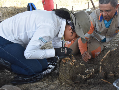 Se evidenció que hubo poblaciones humanas desde 2.000 años atrás en la zona de los Montes de María, que recorre hoy el proyecto 4G Puerta de Hierro – Palmar de Varela y Carreto – Cruz del Viso.