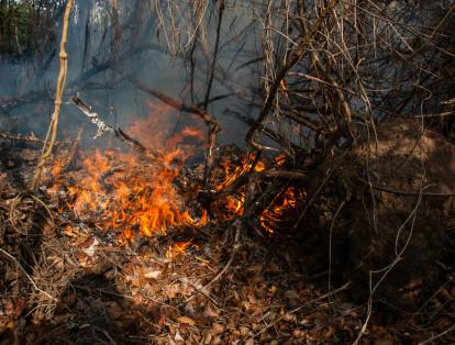 INCENDIO EN ISLA PARQUE SALAMANCA