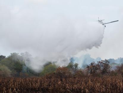 INCENDIO EN ISLA PARQUE SALAMANCA