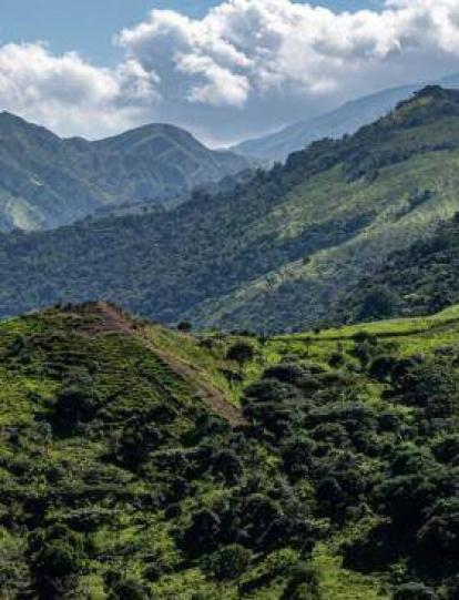 En Colombia el 85% de los sistemas de producción están en áreas vulnerables a la desertificación