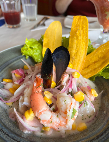 ceviche mixto peruano especial, plato de Jaime Gourmet.