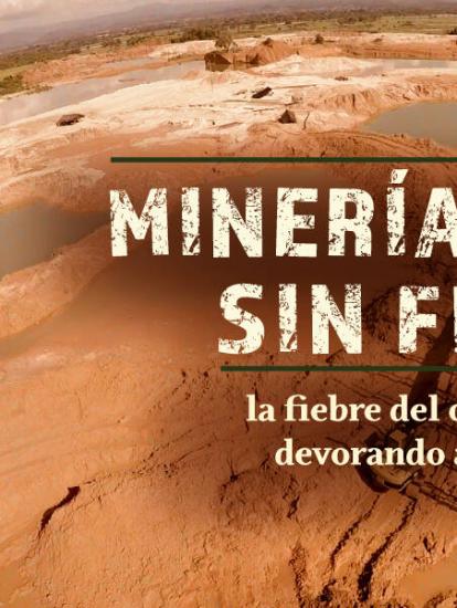 Share especial minería ilegal FN