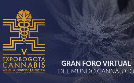 foro cannabis