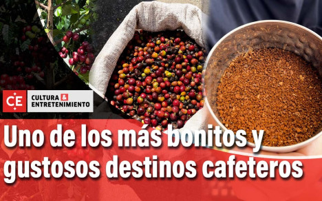 La hacienda San Alberto es uno de los más bonitos, bien montados y gustosos destinos cafeteros de Colombia.