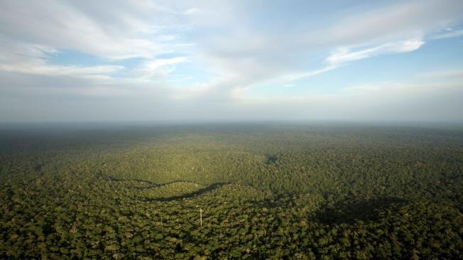 En la Amazonia, la domesticación de las plantas comenzó hace más de 8.000 años.