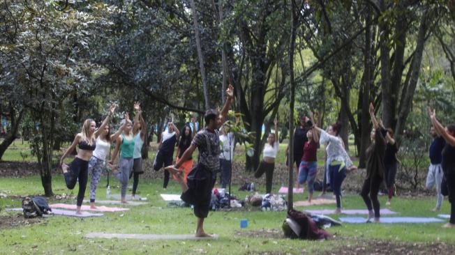 Los talleres de yoga se desarrollaron tanto para principiantes como para quienes ya la practican y conocen de ésta.