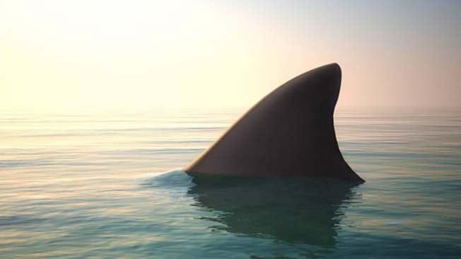 El nadador paralímpico español Ariel Schrenck nadaba en el mar  cuando vio que dos tiburones lo acechaban a pocos metros de distancia.