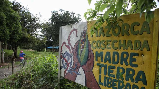 En Cauca, los indígenas llaman ‘recuperación’ o ‘liberación de la Madre Tierra’ a la invasión de fincas