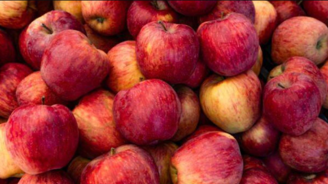 Esta fruta se puede encontrar en cualquier plaza de mercado, sin importar el clima del momento.