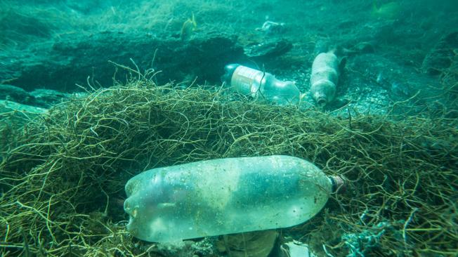 El plástico tarda entre décadas y cientos de años en degradarse. En los océanos, además, se convierte en microplásticos que luego son ingeridos por peces que en muchos casos son consumidos por las personas.