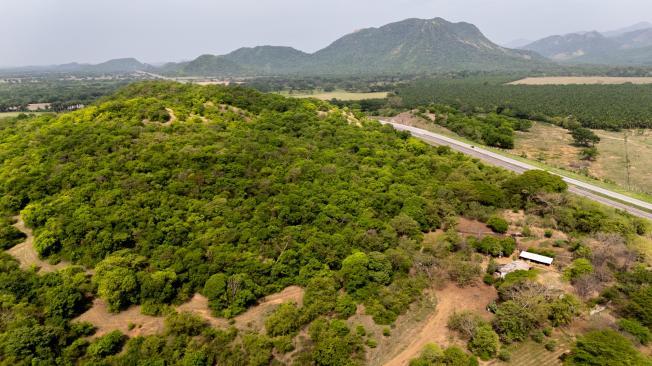 Vista aérea en la vía entre Cesar y La Guajira. 2024.