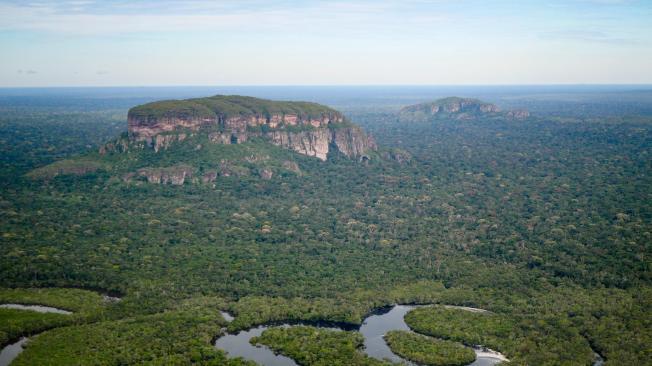 El Parque Nacional Natural Serranía de Chiribiquete es el área protegida más grande de la Amazonia continental.