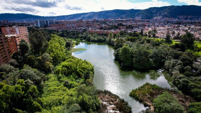 Ministerio de Ambiente impone medida de protección a los humedales Juan Amarillo, Córdoba y Jaboque. En la foto el Humedal de Córdoba. Como punto focal nacional de la convención Ramsar, el Ministerio de Ambiente impuso, a través de la resolución 421 de 2024, medida de protección al evidenciar perturbaciones a las dinámicas de los humedales, por un elevado volumen de concreto en las intervenciones. La medida obliga a la Secretaría Distrital de Ambiente a realizar un estudio de impacto ambiental que evidencie los efectos que estas intervenciones han tenido en los humedales. Para el caso del humedal Córdoba, se impide la realización de futuras obras. 
Uno de ellos el Juan Amarillo. Bogotá 7 de mayo del 2024. Foto MAURICIO MORENO CEET EL TIEMPO @mauriciomorenofoto