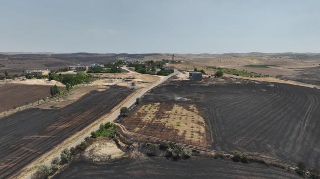 Tierras quemadas tras un incendio de rastrojos en Diyarbakir, Turquía, esta semana.